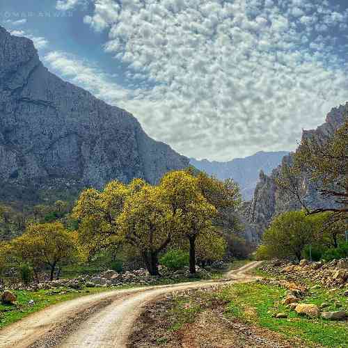  قسم به نجوم که رسیدم به جونون نه برعکسه کاملاً